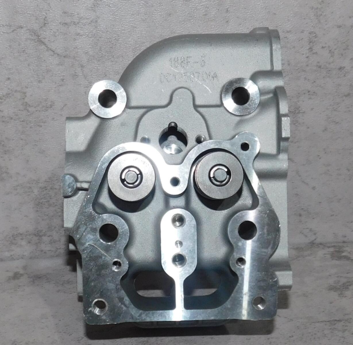 Головка блока цилиндра SDG 5500EHA,CP188FE (в сборе - клапаны,пружины) Cm / Cylinder head assy (20023-00056-00) Головка блока цилиндра SDG 5500EHA,CP188FE (в сборе - клапаны,пружины) Cm / Cylinder head assy (20023-00056-00)