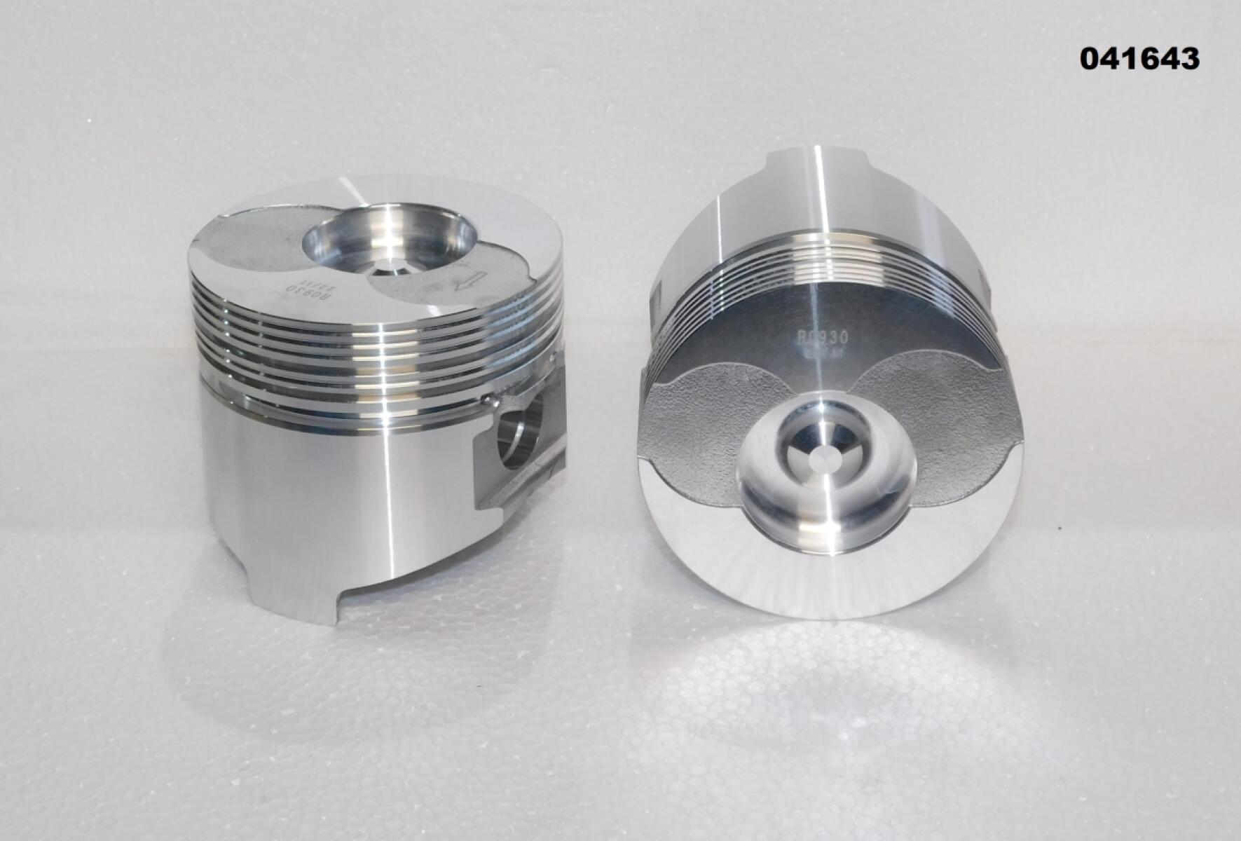 Поршень SDG 10000(..),LT290FE (к-т- 2 шт.) Lt / Piston (1.02.04.01.0010) Поршень SDG 10000(..),LT290FE (к-т- 2 шт.) Lt / Piston (1.02.04.01.0010)