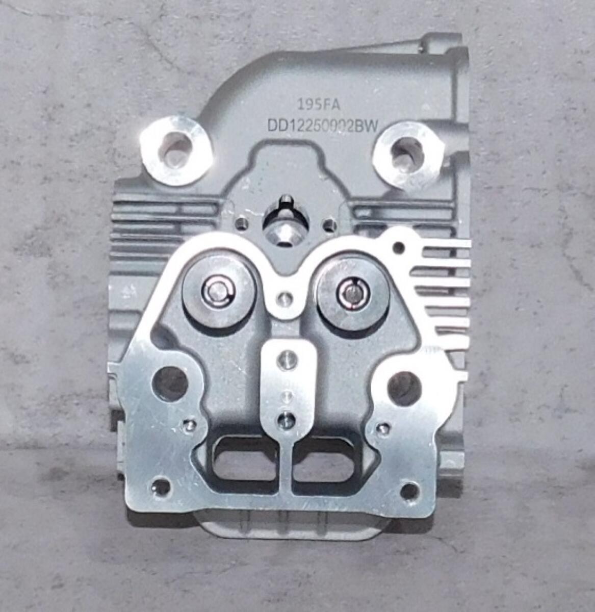Головка блока цилиндра SDG 7500(..),CP195FE (в сборе - клапаны,пружины) Cm / Cylinder head assy (20021-00159-00)