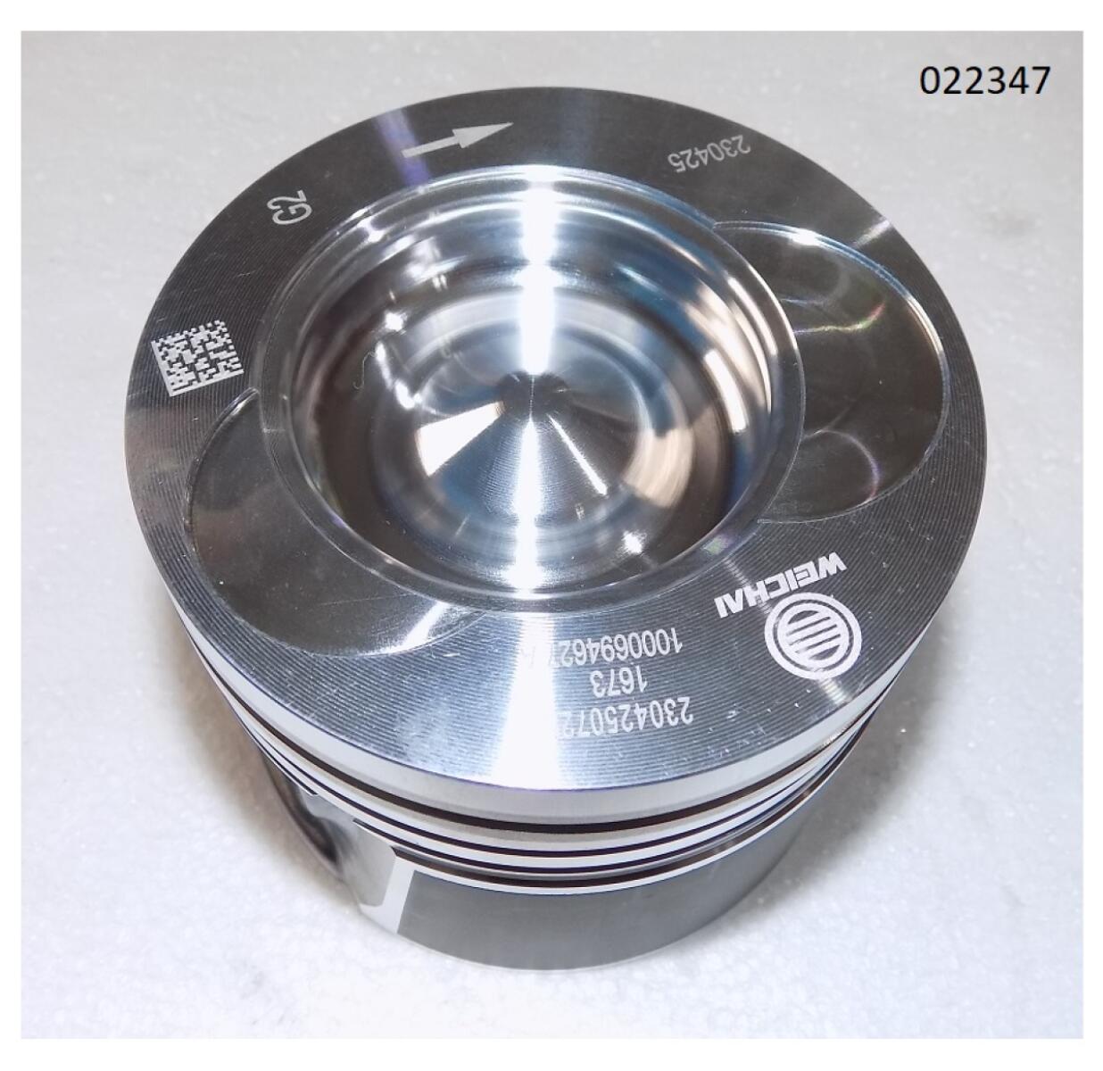 Поршень WP2.3D33E200/Piston