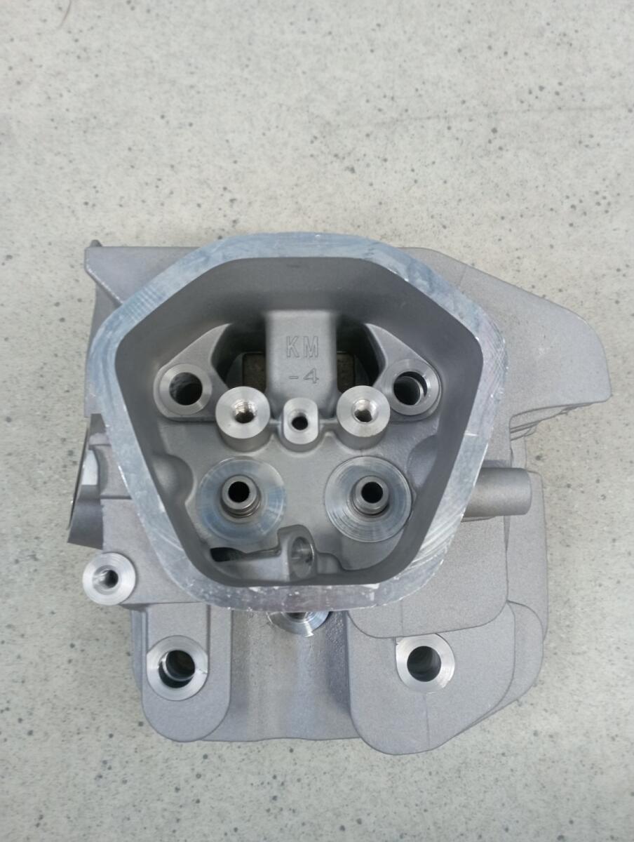Головка блока цилиндра SGG 5000(..)-6000(..),KM190FP / Cylinder head (03.02.12140-19003-00) Головка блока цилиндра SGG 5000(..)-6000(..),KM190FP / Cylinder head (03.02.12140-19003-00)