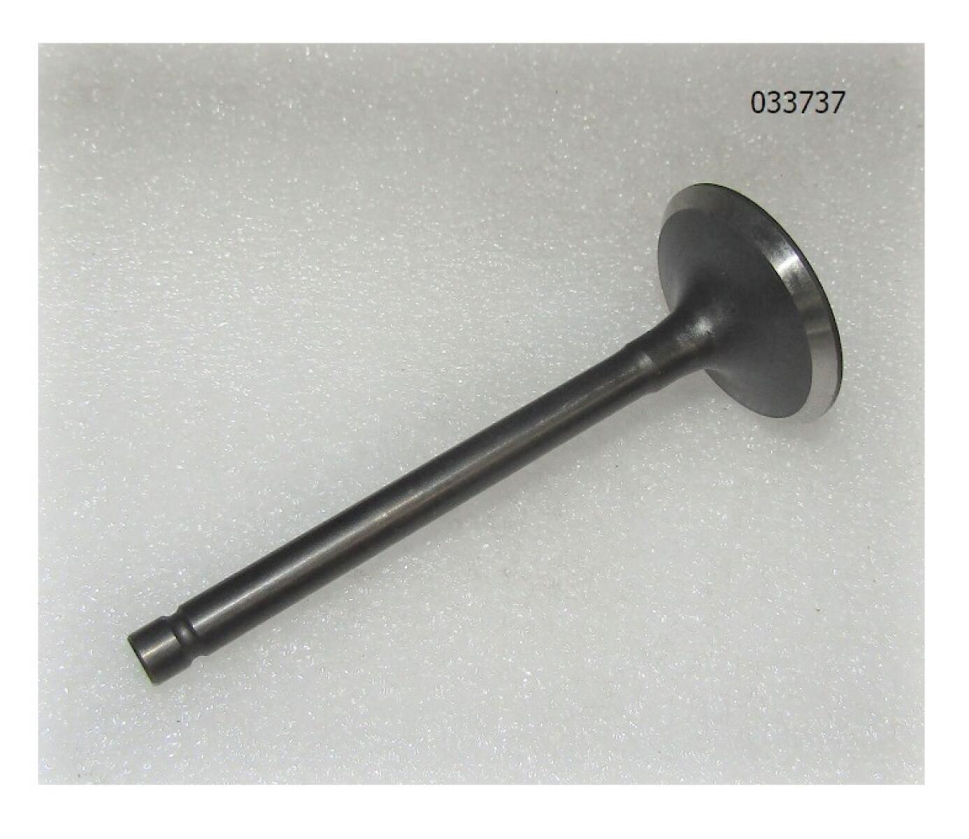 Клапан впускной SGG 10000Ei,SV460 до 08.2024 Sc / Intake valve (34013-00053-00)