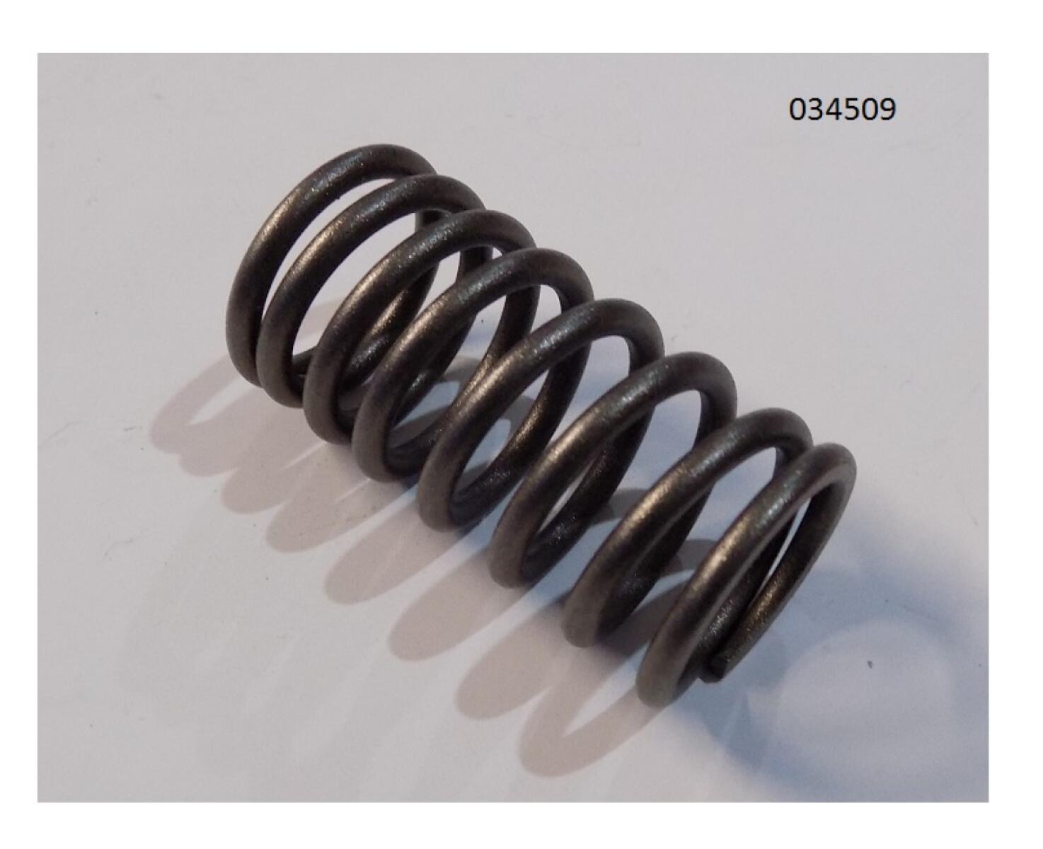 Пружина клапана внутренняя WP4.1D80E200/Inner Valve Spring (2010325) Пружина клапана внутренняя WP4.1D80E200/Inner Valve Spring (2010325)