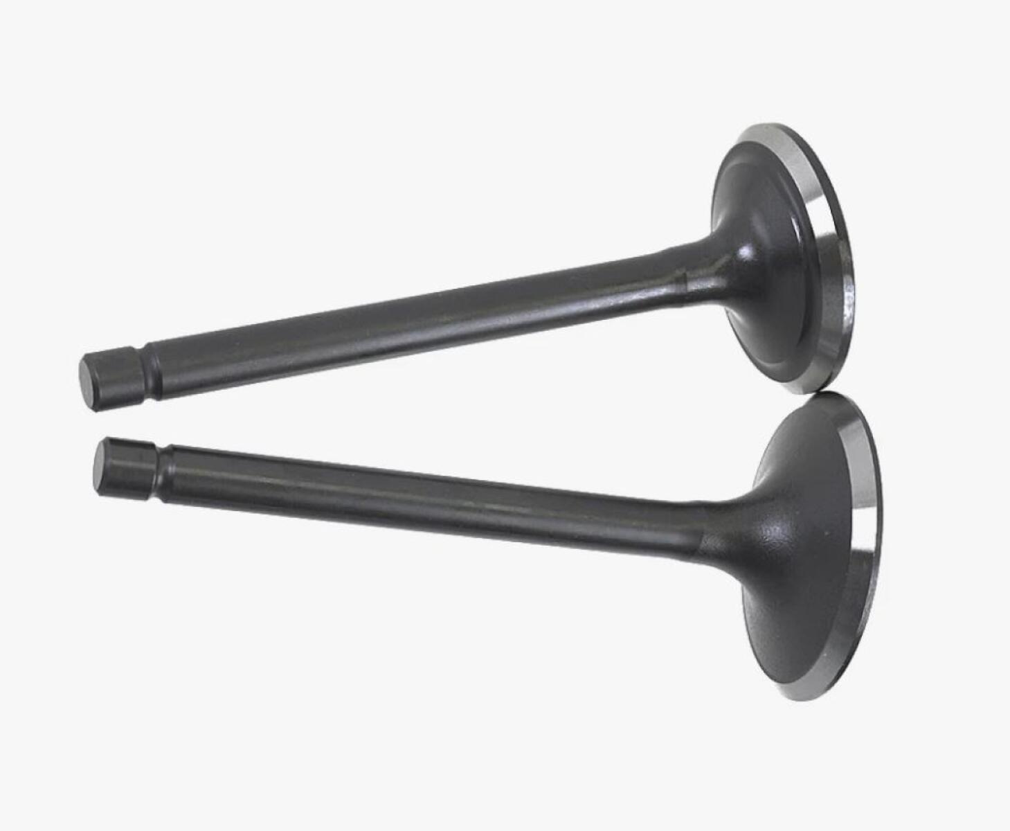 Комплект клапанов бензинового двигателя G420F