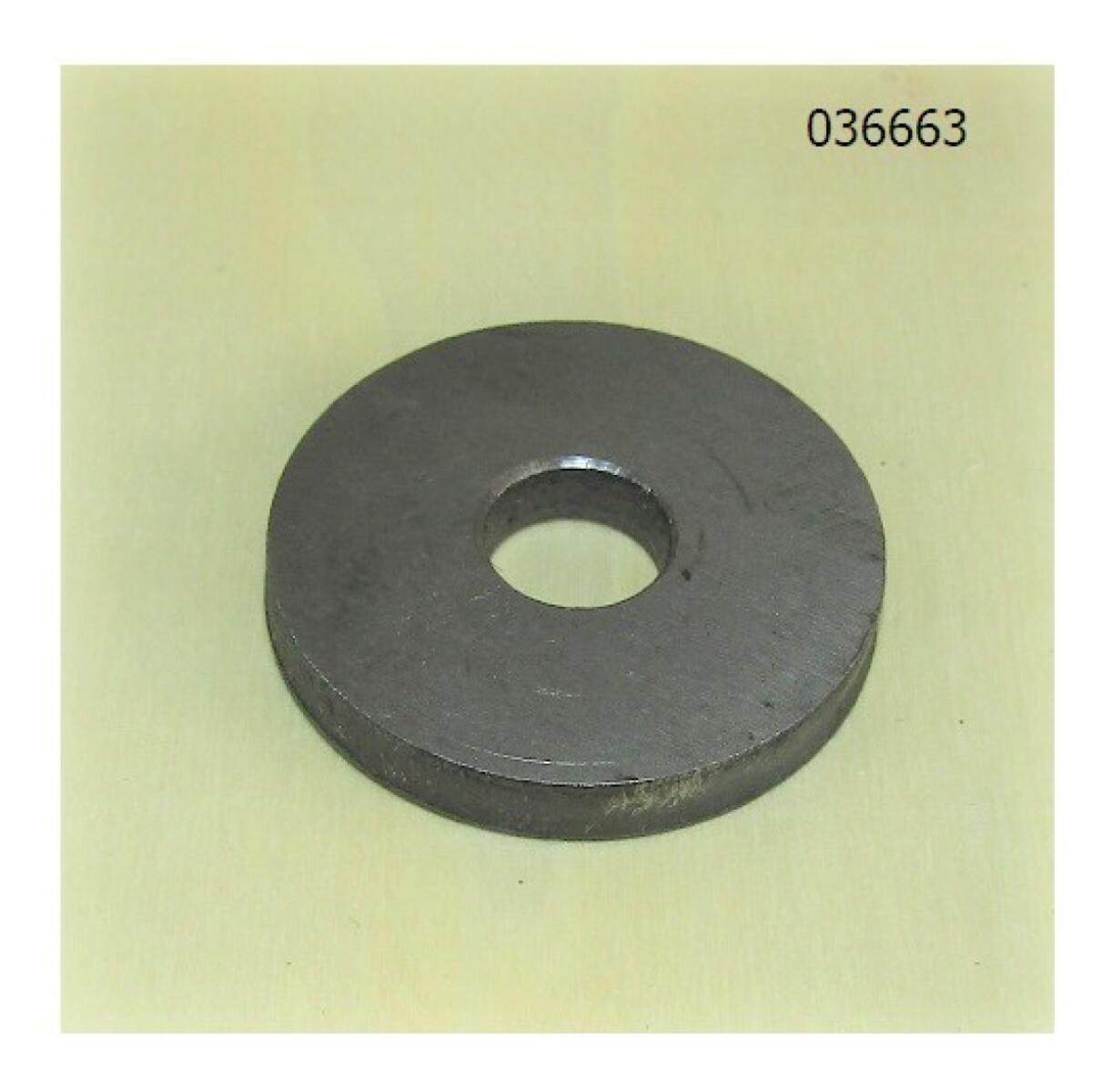 Шайба прижимная шестерни распределительного вала TDK-N 110 4LT/Camshaft gear retaining R060004 Шайба прижимная шестерни распределительного вала TDK-N 110 4LT/Camshaft gear retaining R060004