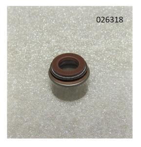Колпачок маслосъёмный R2V910X / Valve guide oil seal (WS2V88-02030)