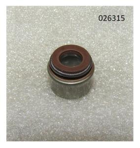 Колпачок маслосъёмный R2V870X / Valve guide oil seal 7*11*10F(WS2V88-02030)